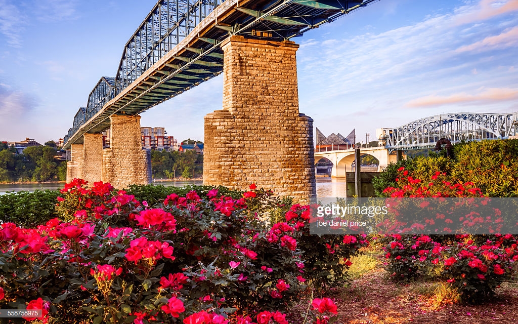 Under the Walnut Street Bridge, Chattanooga, Tennessee, America