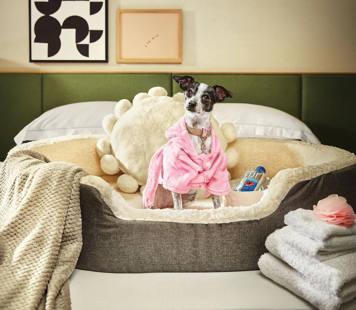 Atlanta magazine | Pet's Day Out