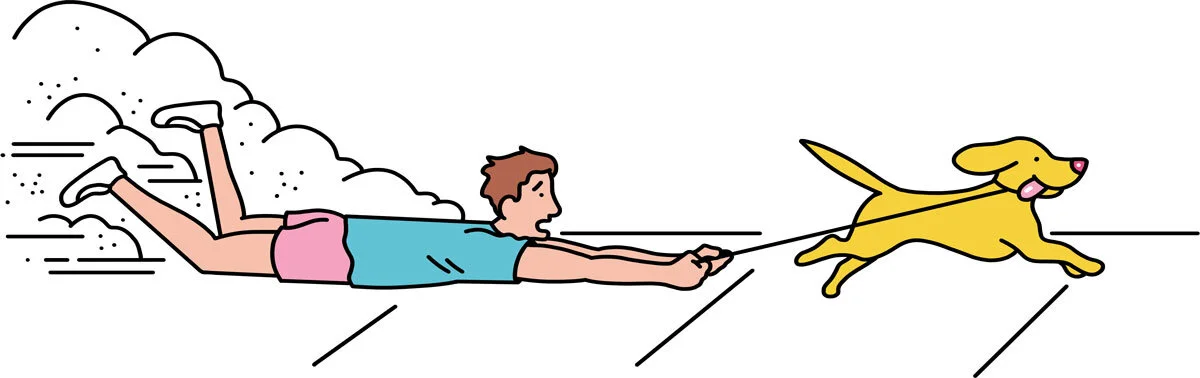 Atlanta magazine | How to be sure that afternoon jog is as good for your dog as it is for you