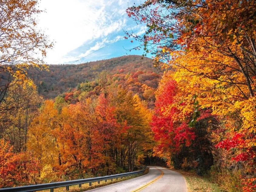 Explore Georgia | Georgia Fall Road Trips