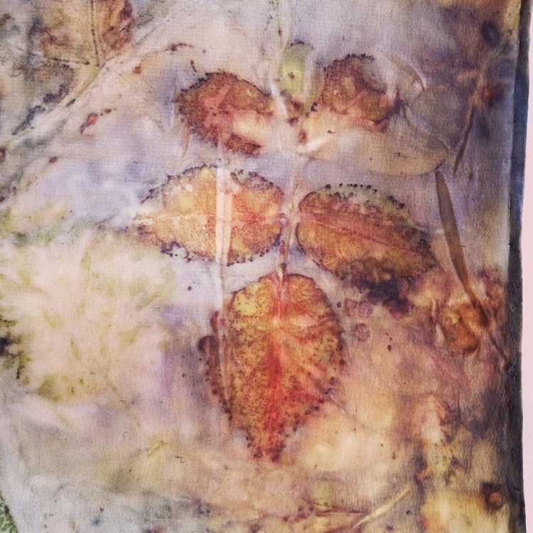 Rose Ecoprint on Silk