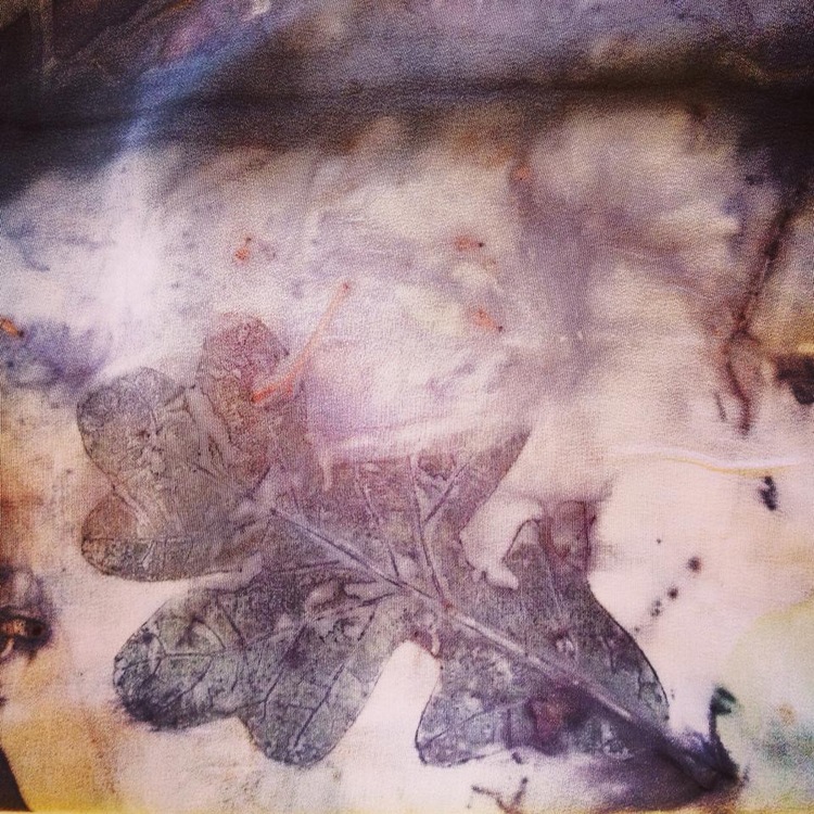 Oak Leaf Ecoprint on Silk