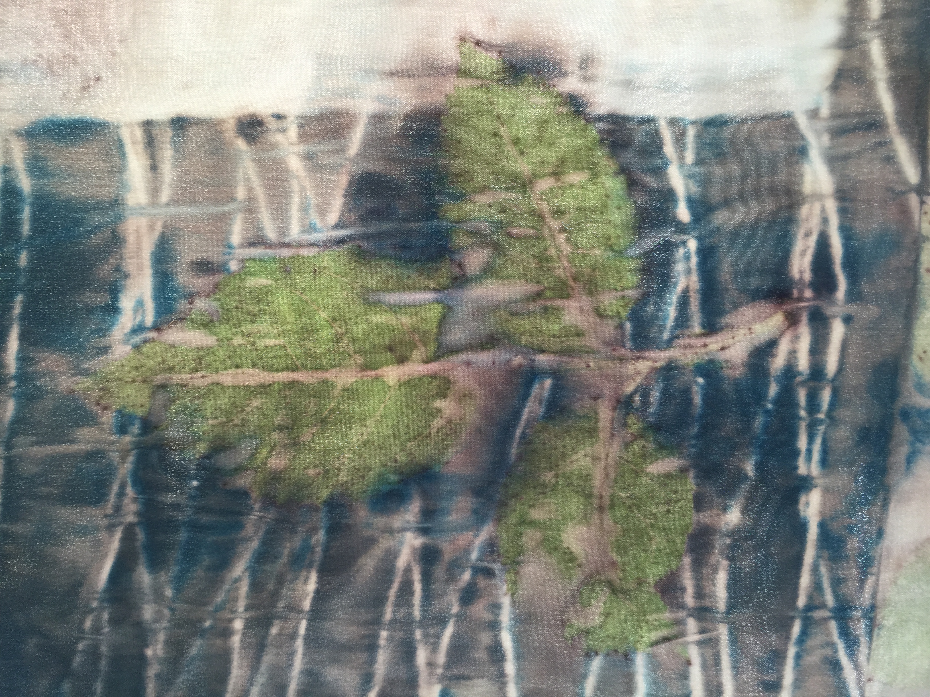 Rose Leaf on Silk