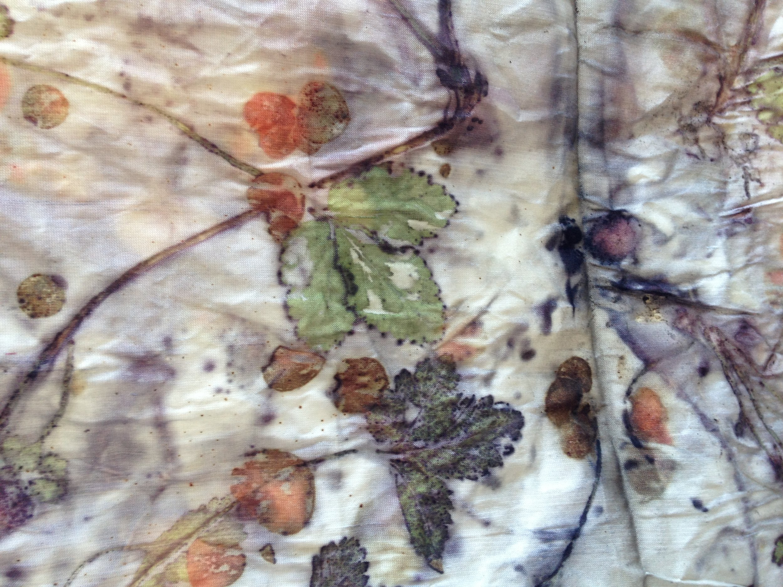 WStrawberry on Silk.JPG