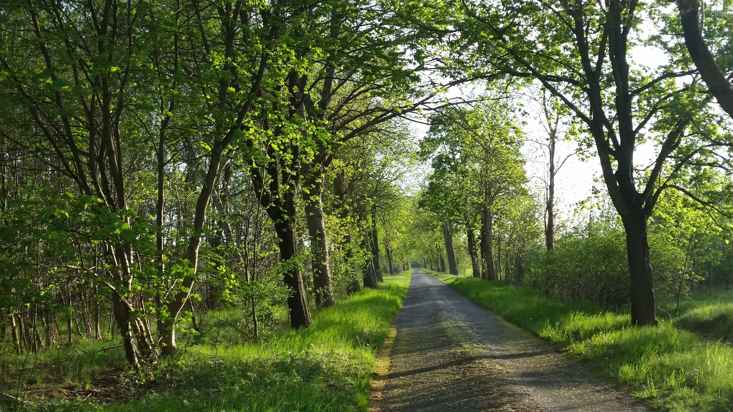 20150505_191754.jpg