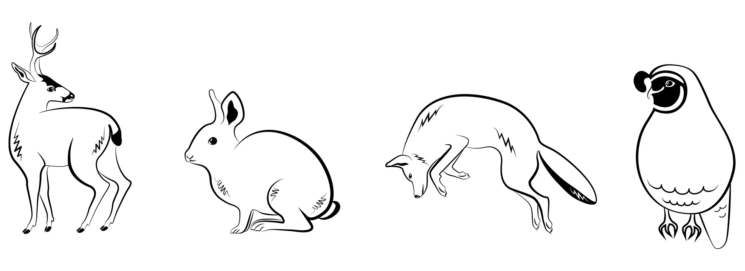 ccoa_animals.jpg