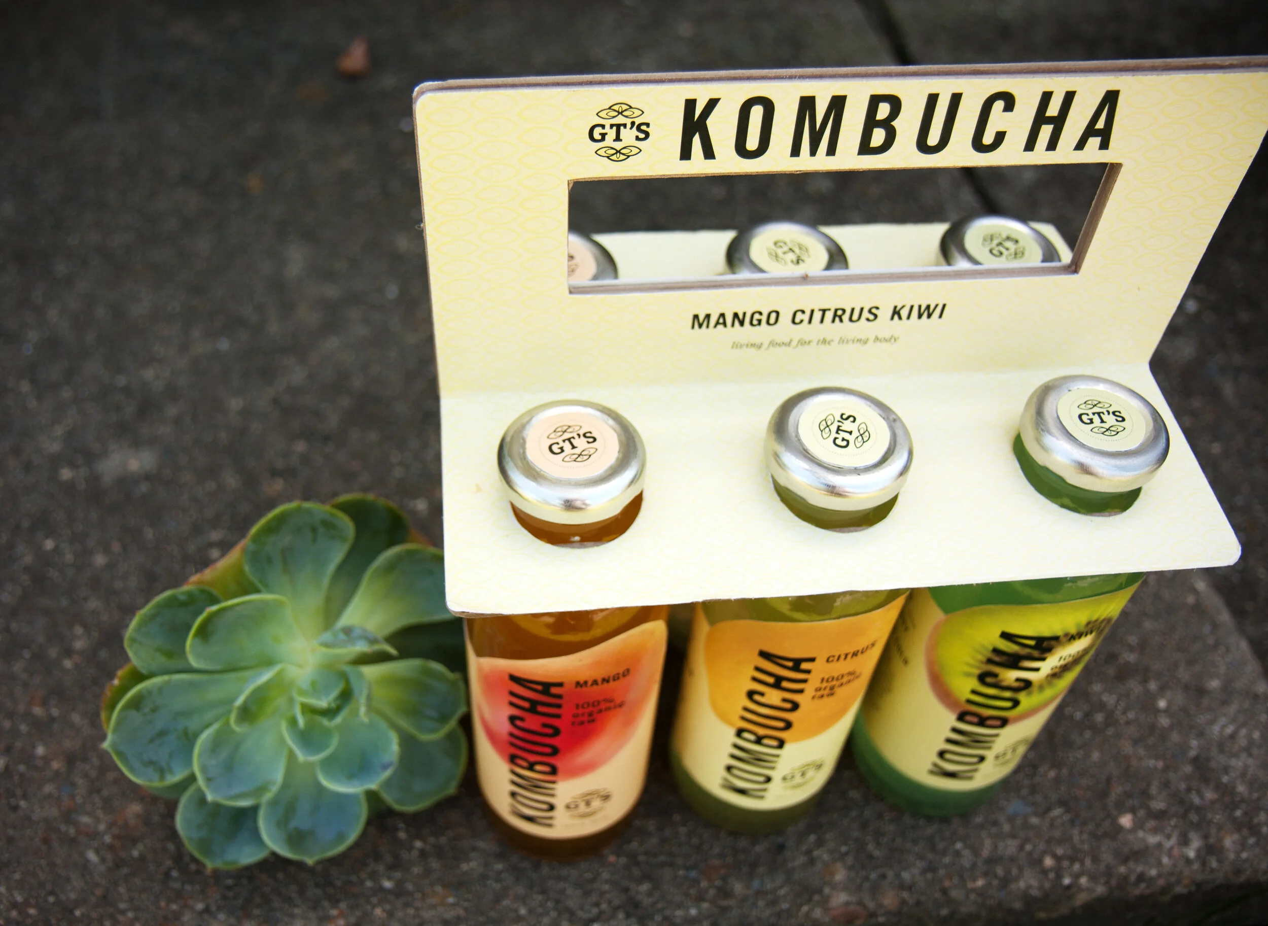 buch_allbottles2.jpg
