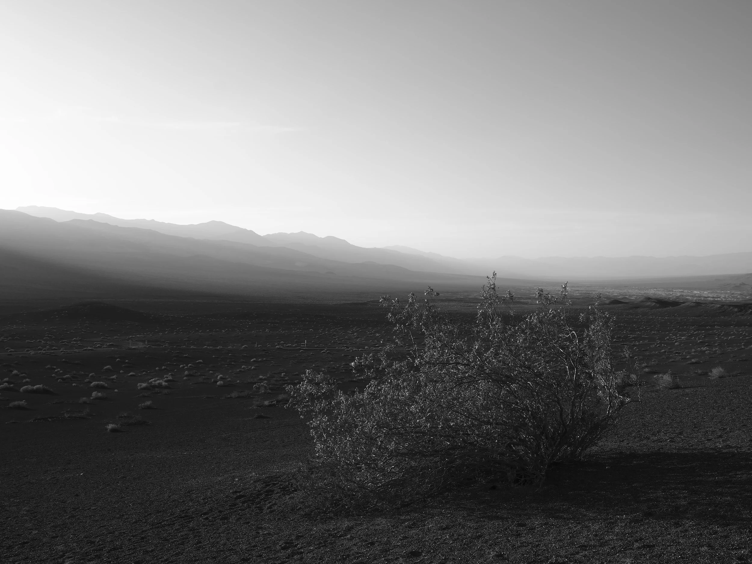 2022_DeathValley_0024.jpg
