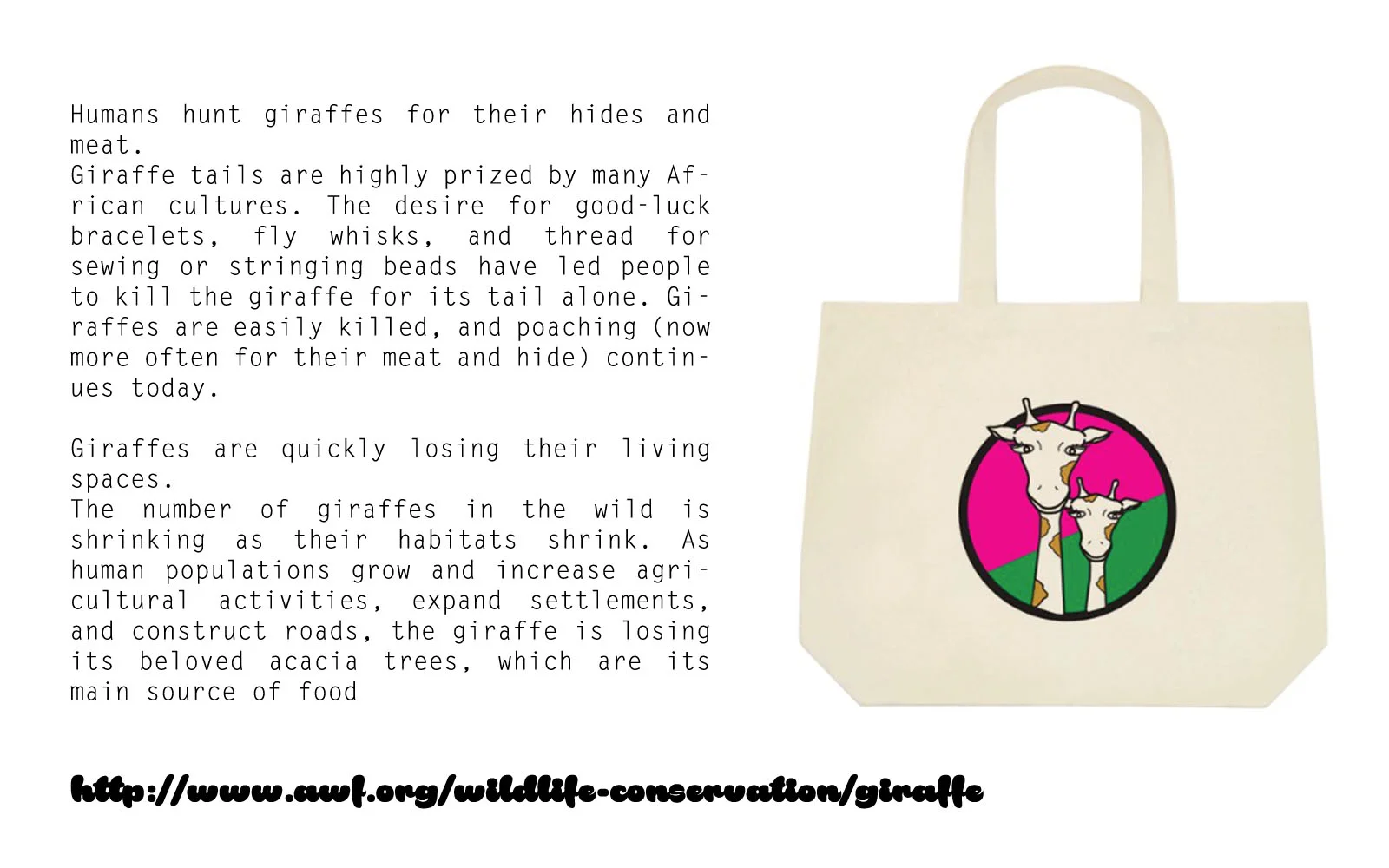 squarespace format 1b.jpg