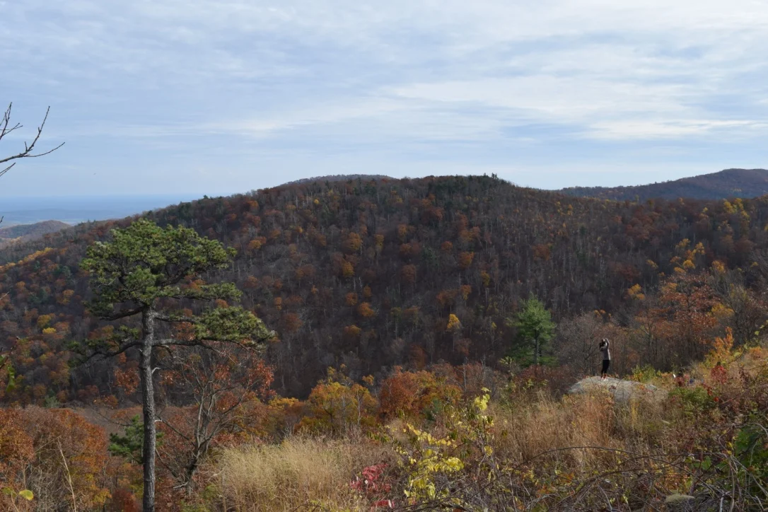 Shenandoah National Park, Virginia