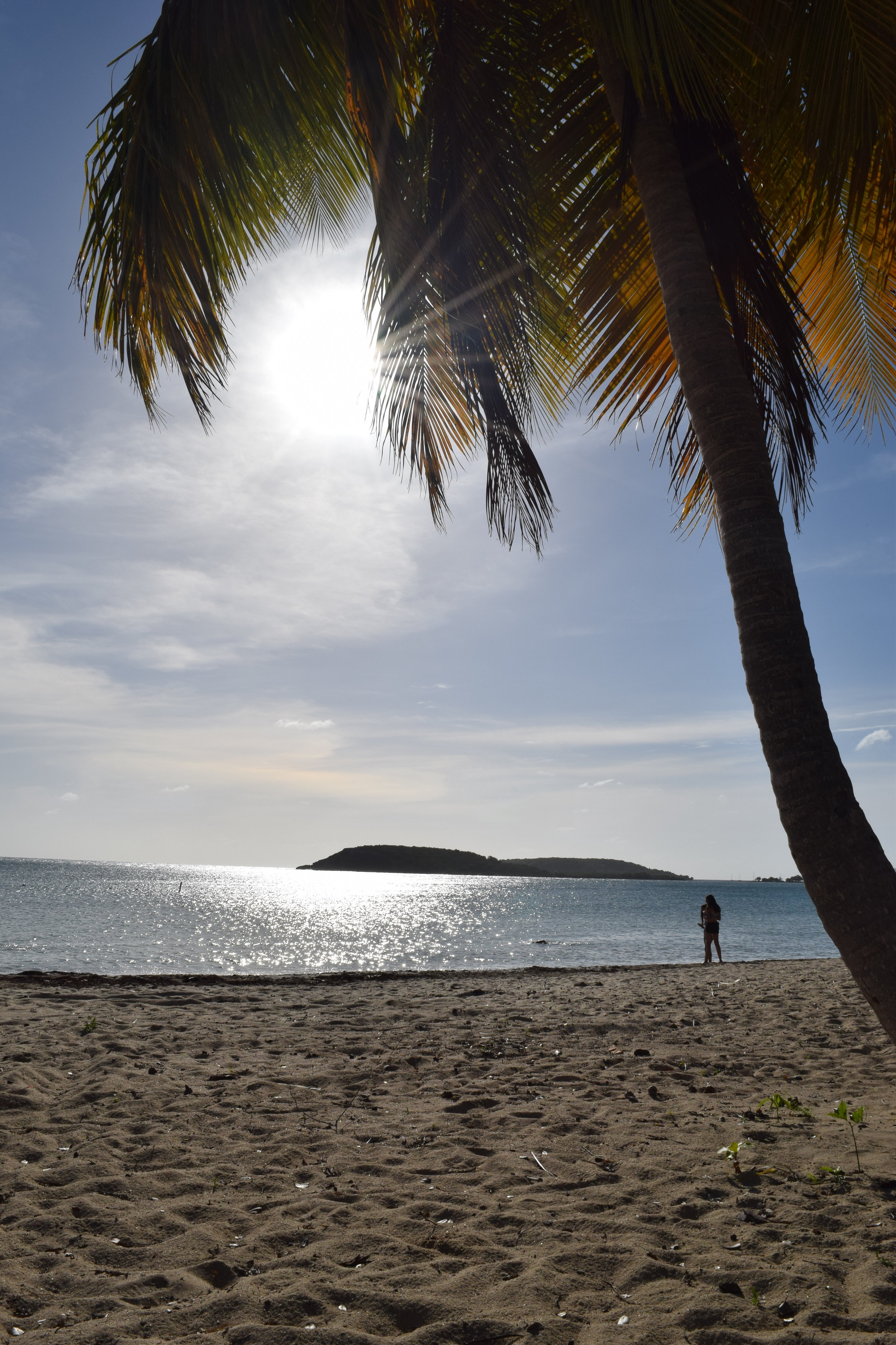 Vieques, Puerto Rico