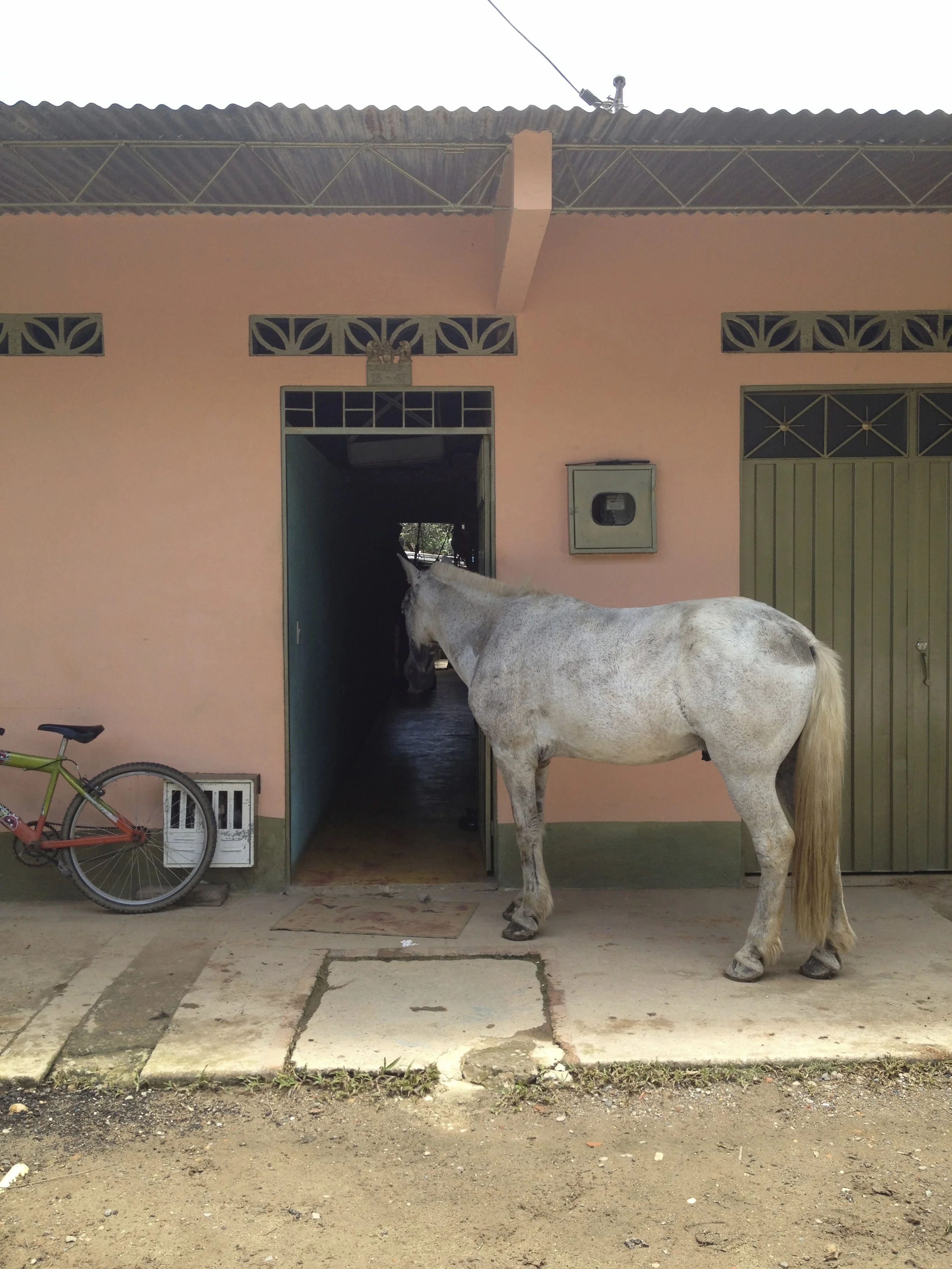COLOMBIA