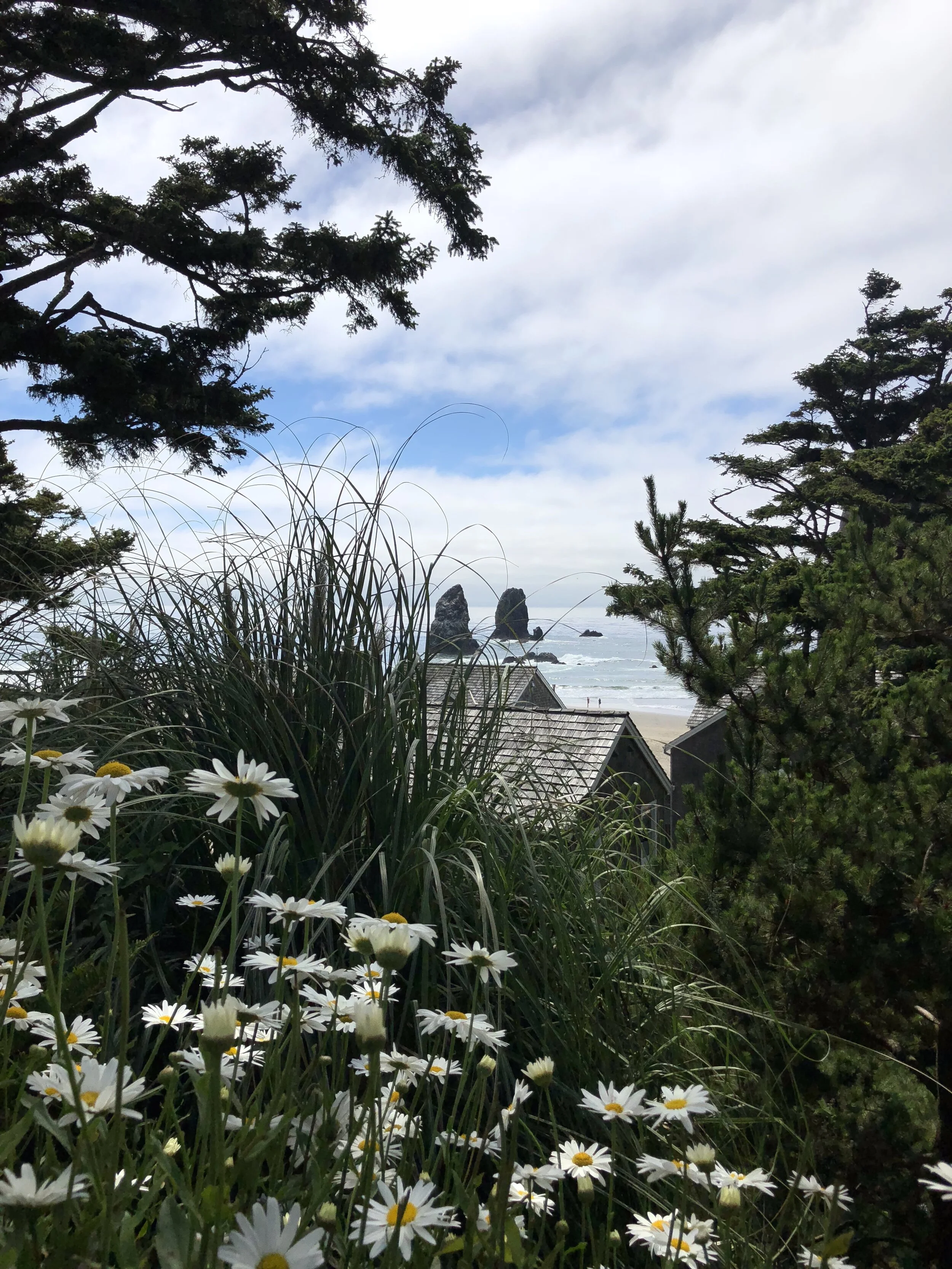  Portland 