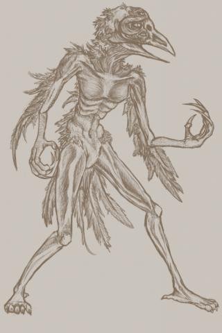 Bird Man Sketch.jpg