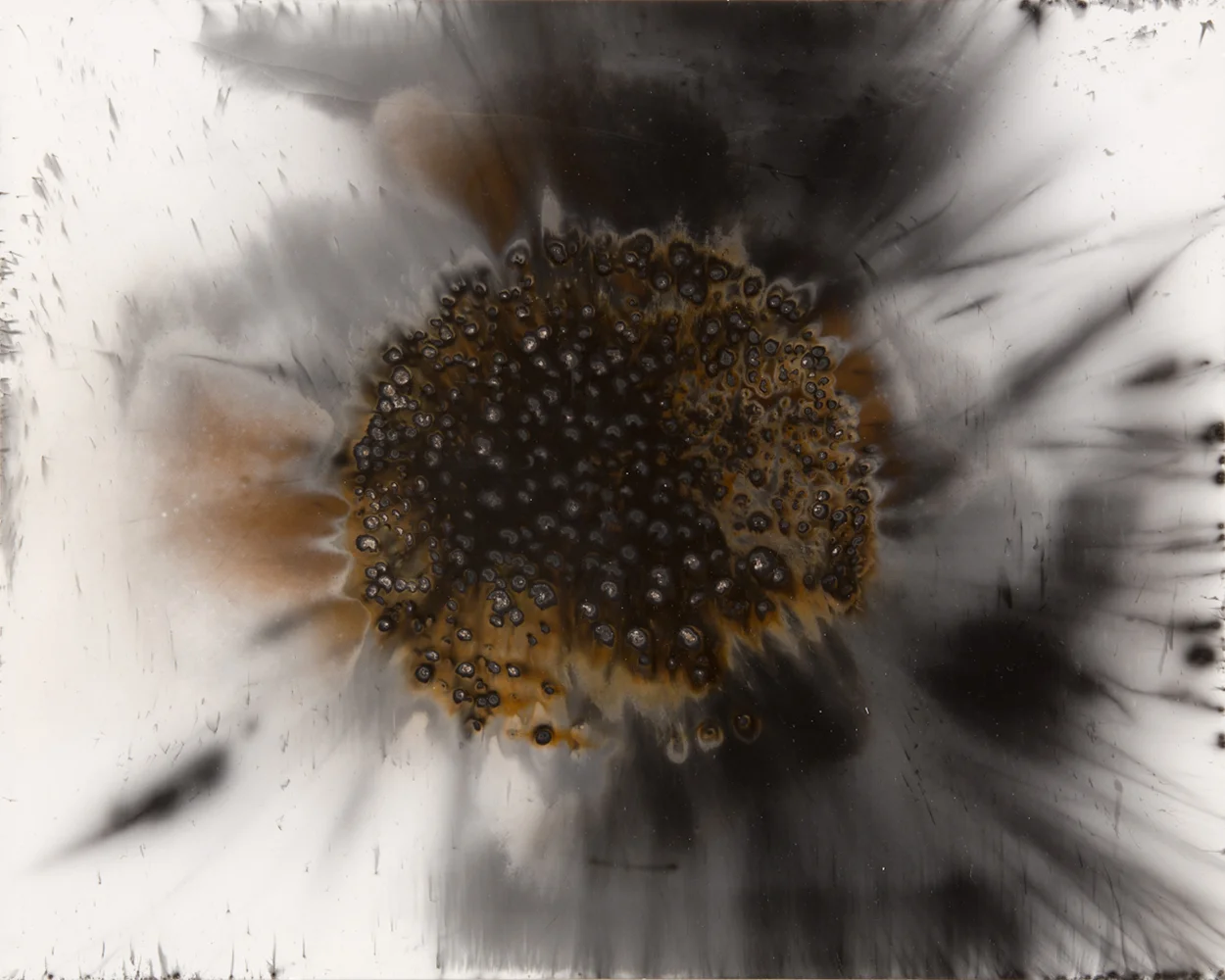 3. Untitled W.O.F .032 8x10 .jpg