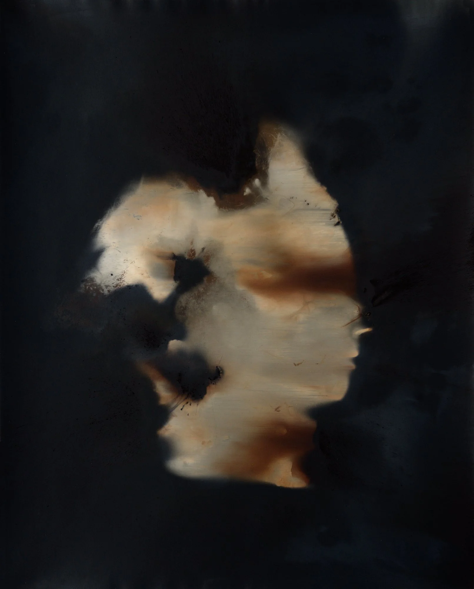 Reveniens 1 20x16 2016.jpg