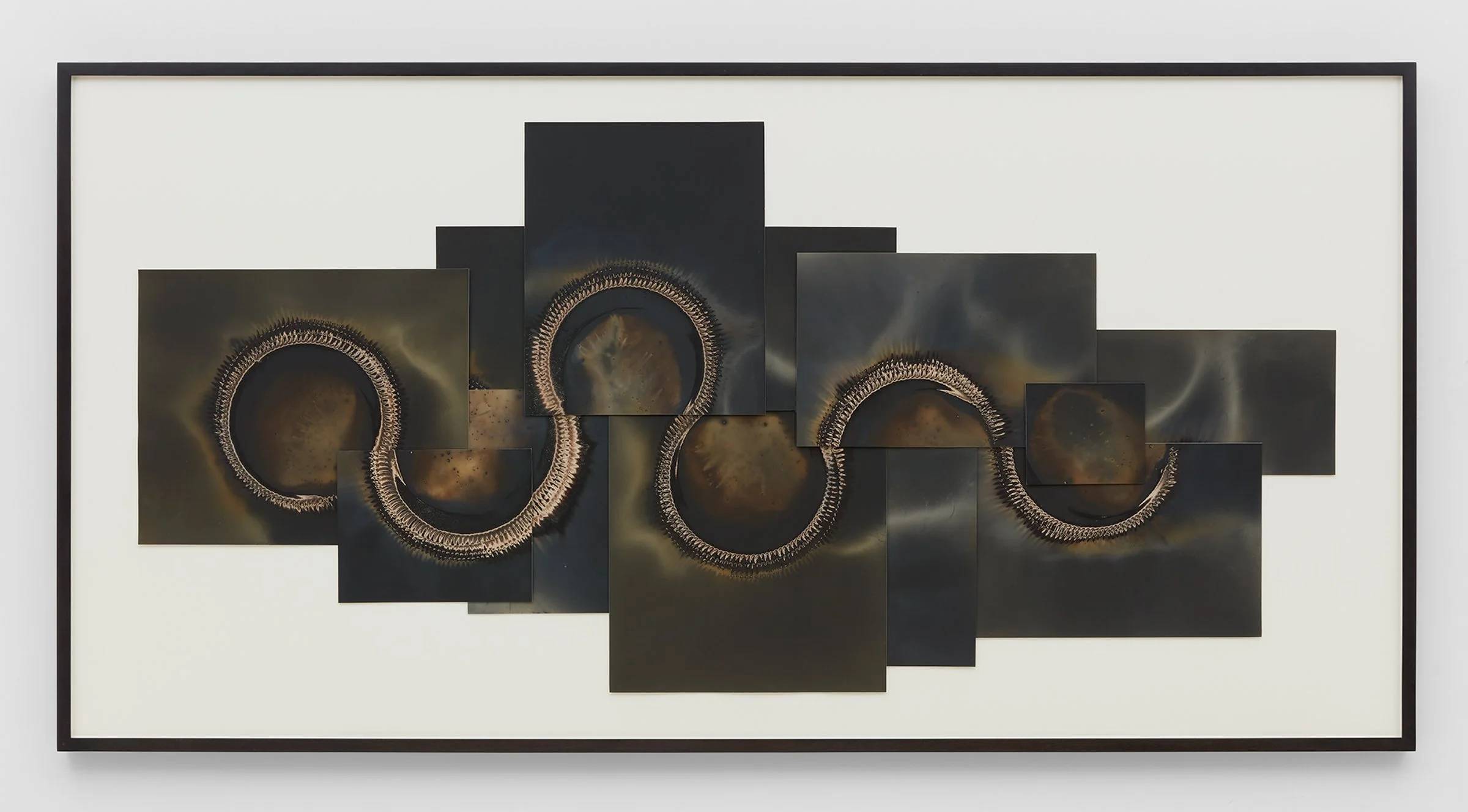 COLVILLE_Serpent_1_4ft x 8ft framed _framed 2000.jpg