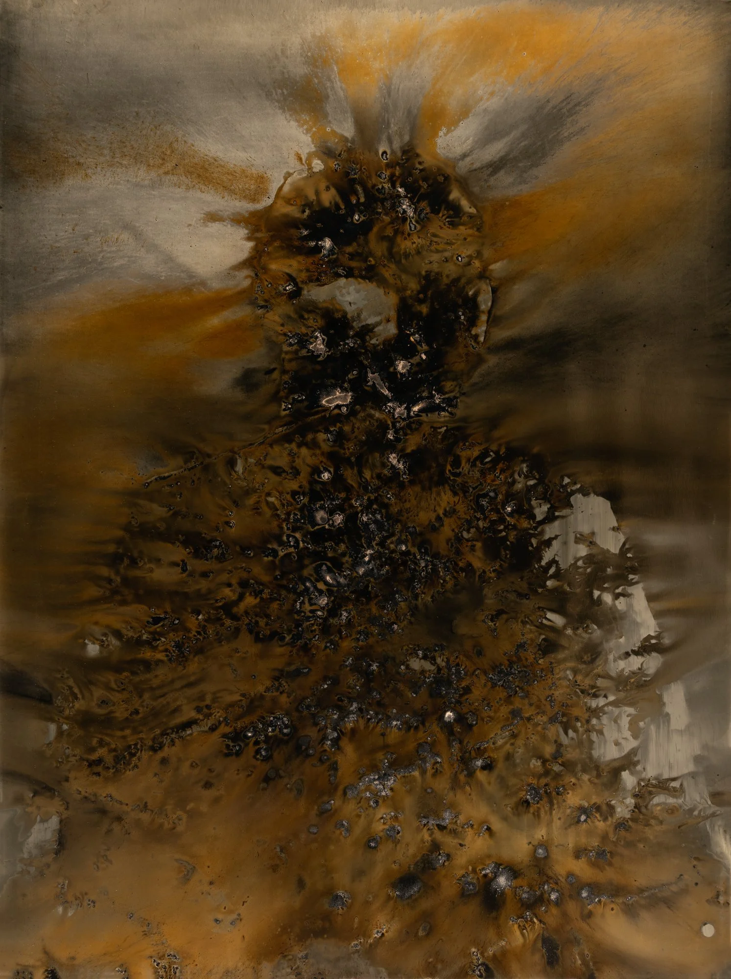 Citizen 21 32 x 24.24.jpg