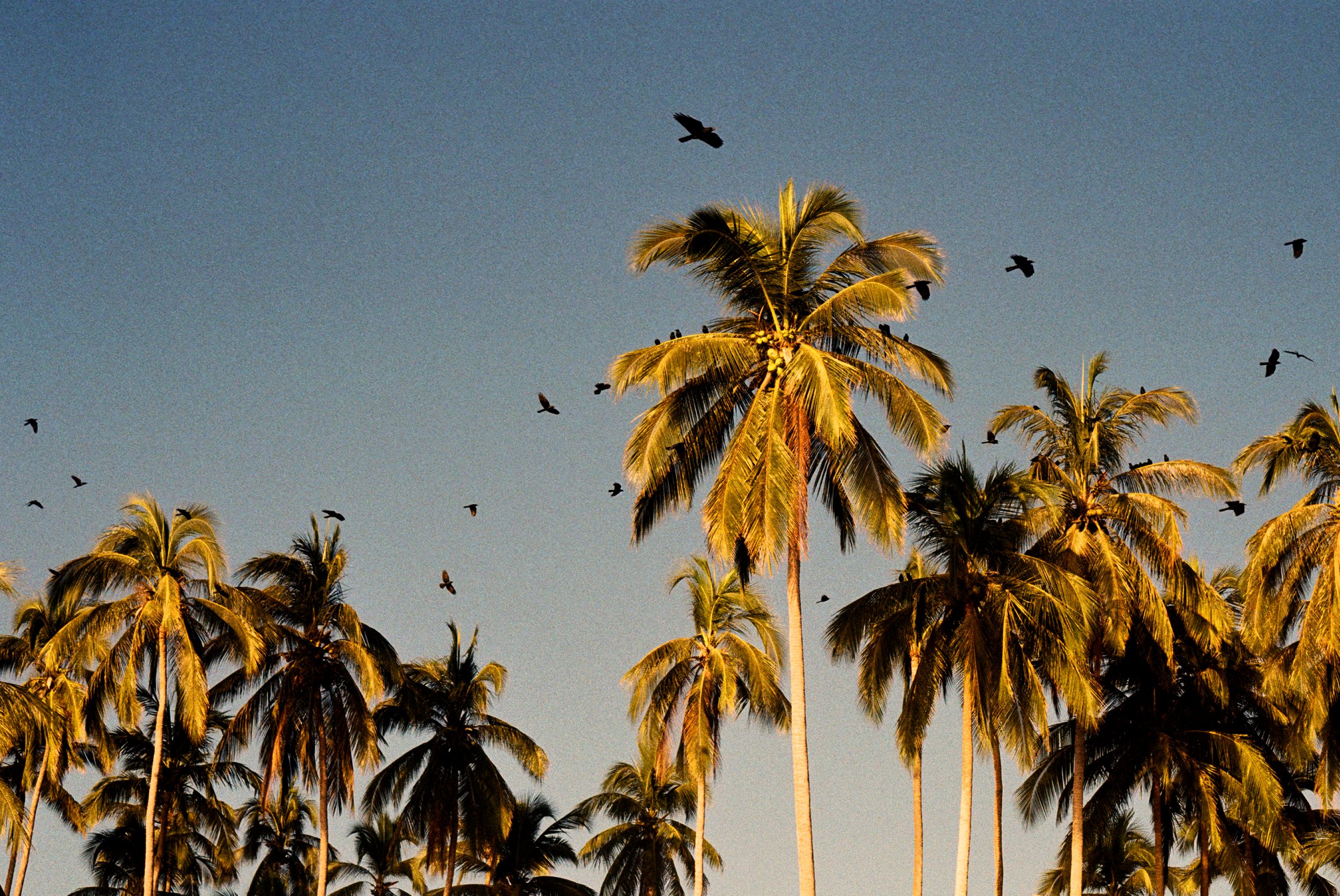 Oaxaca, Mexico