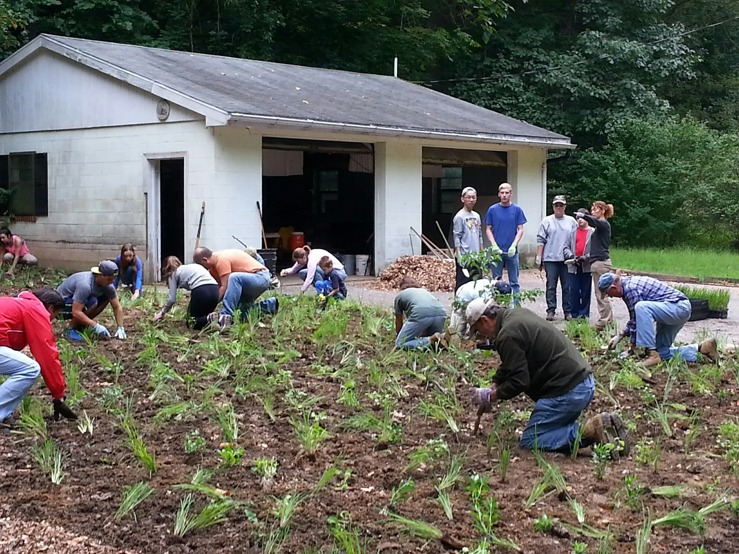 Planting day c)don peters.jpg
