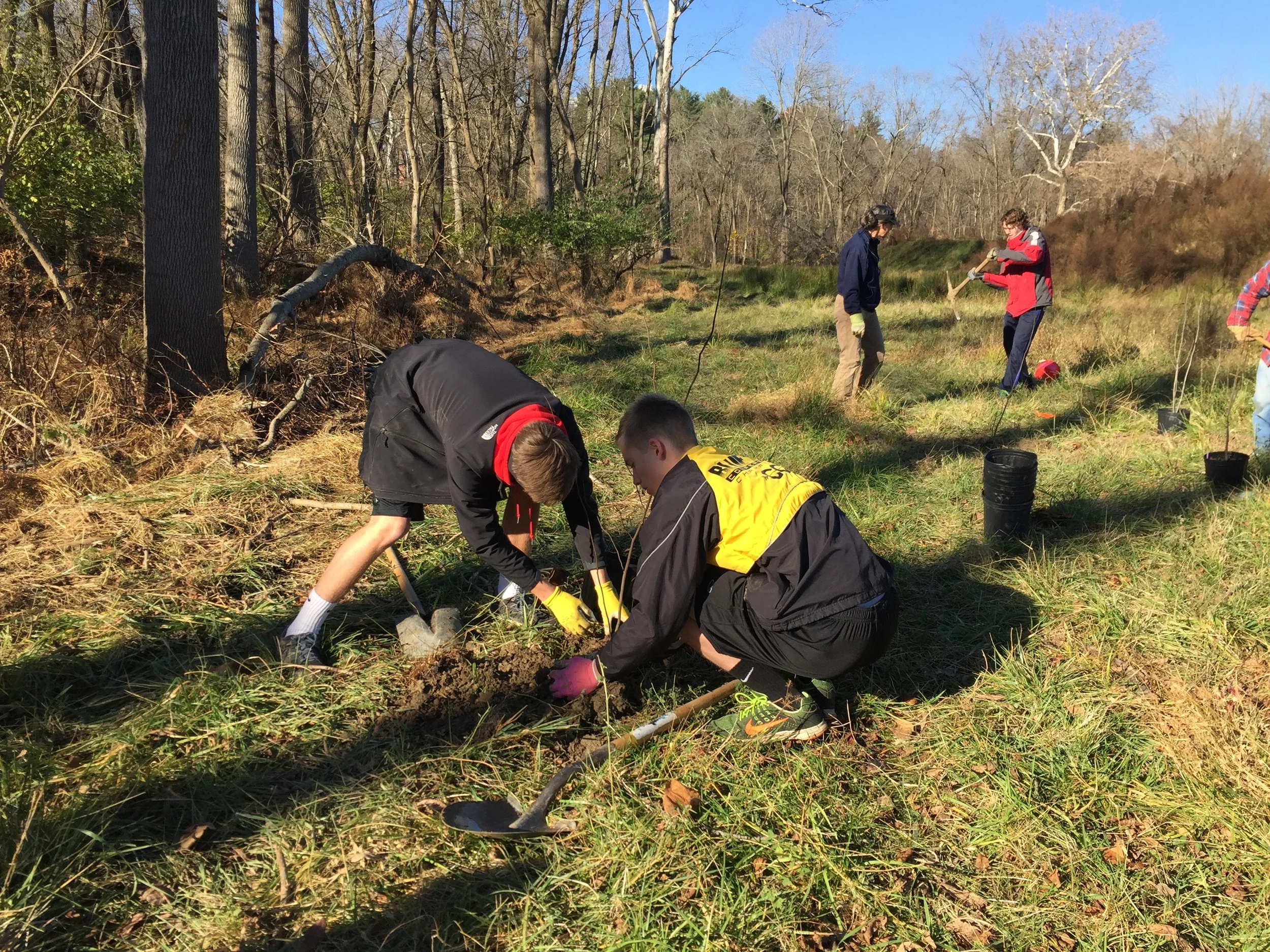 Students from Newark High School planting trees and shrubs along the White Clay Creek.