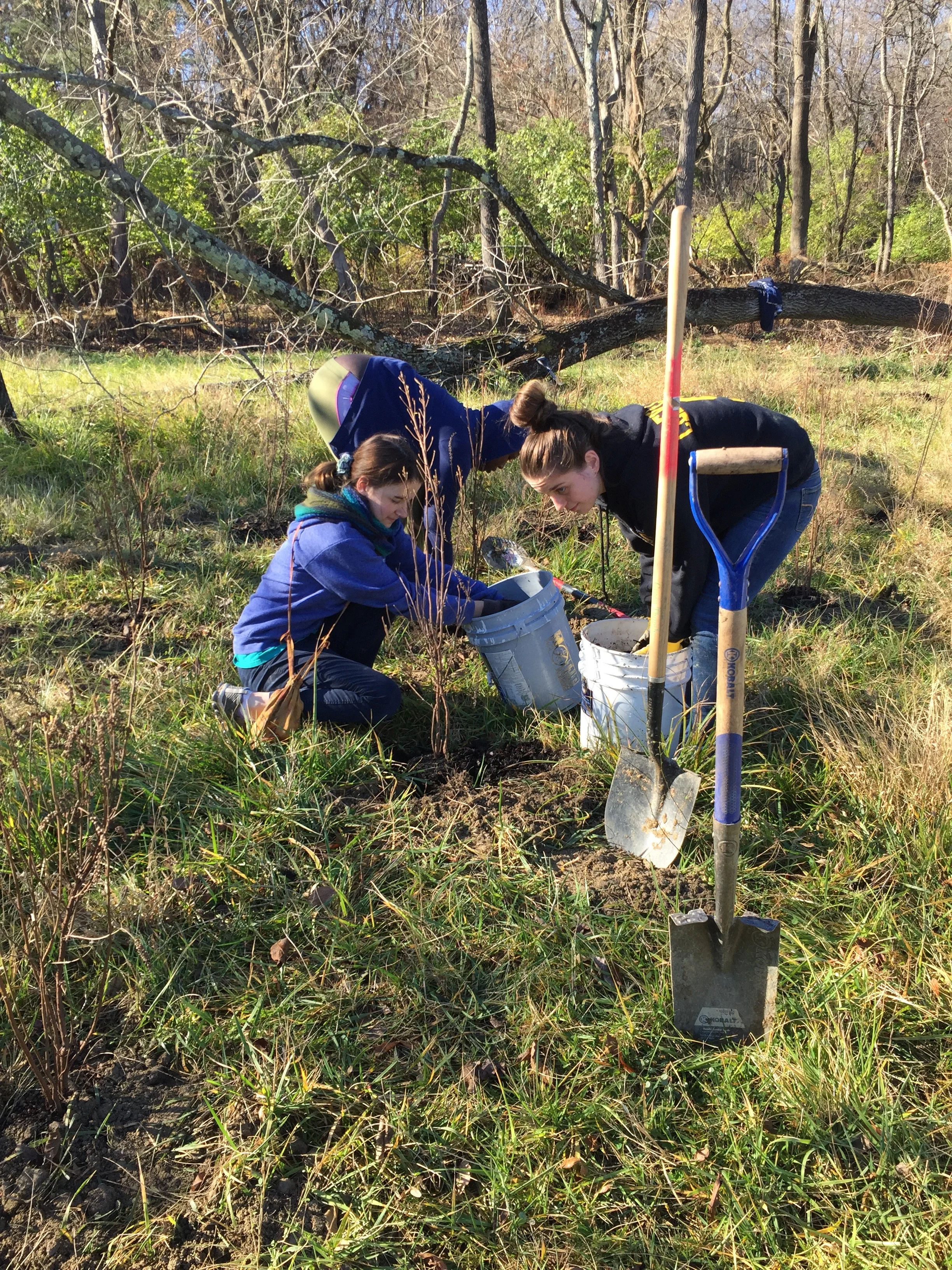 Building Partnerships Through Community Greening