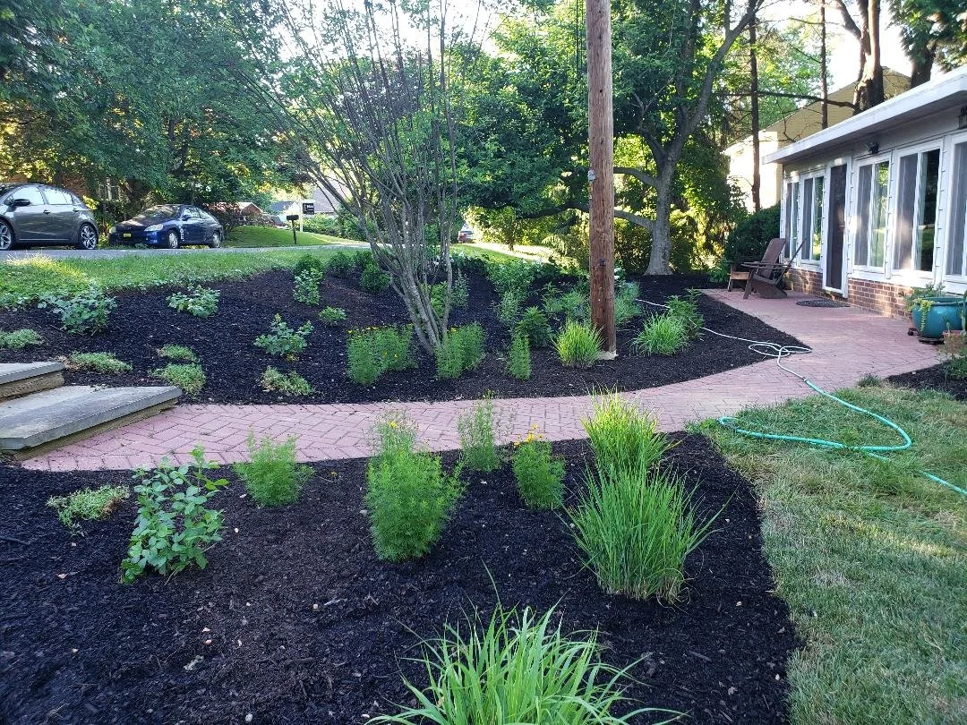 Conservation Landscaping