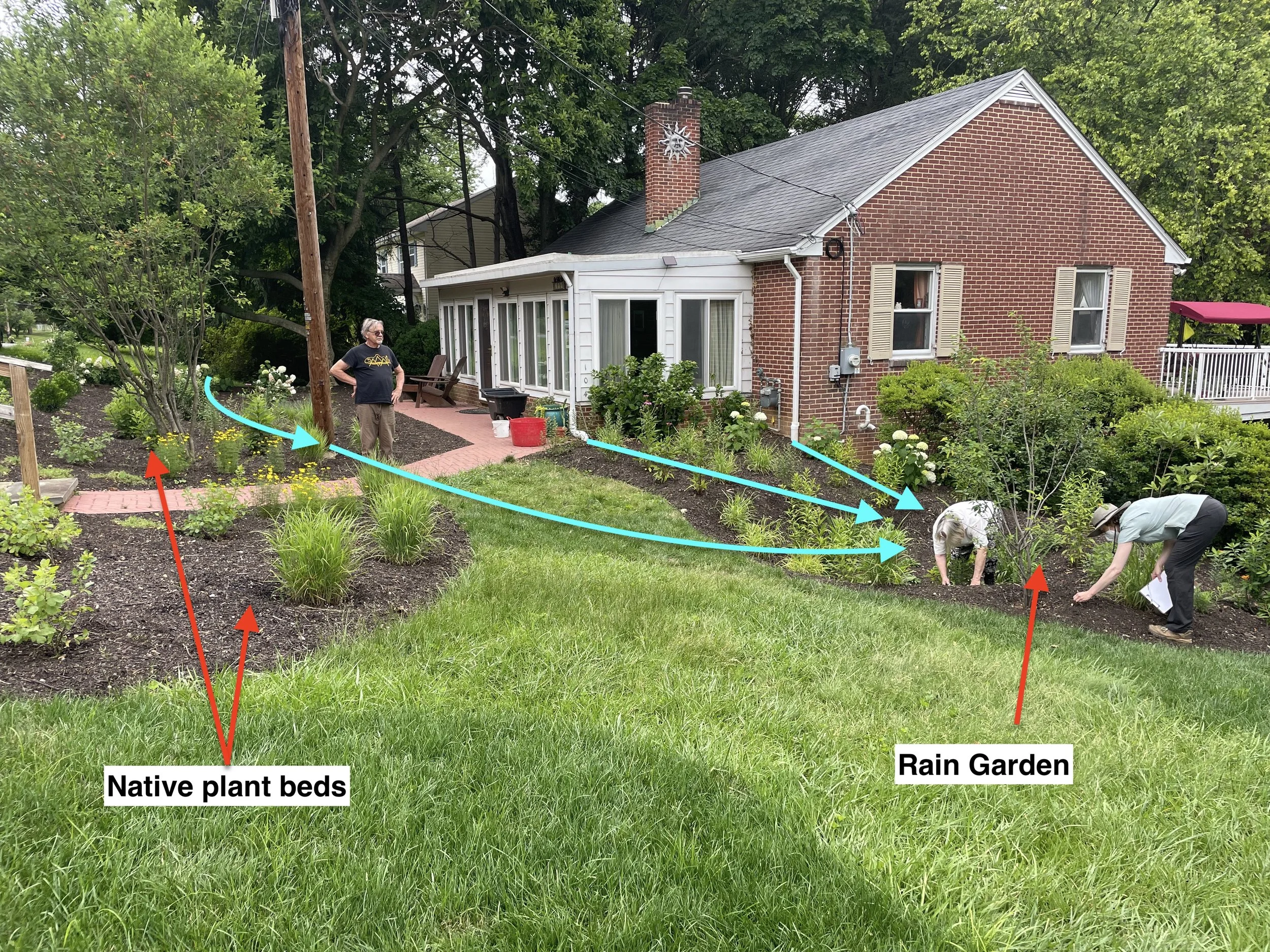 After Rain Garden Installed