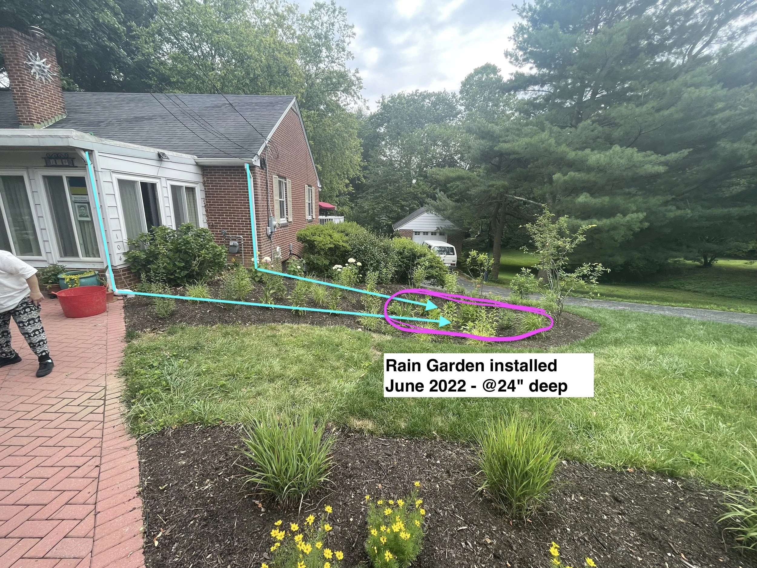 rain garden after.jpeg