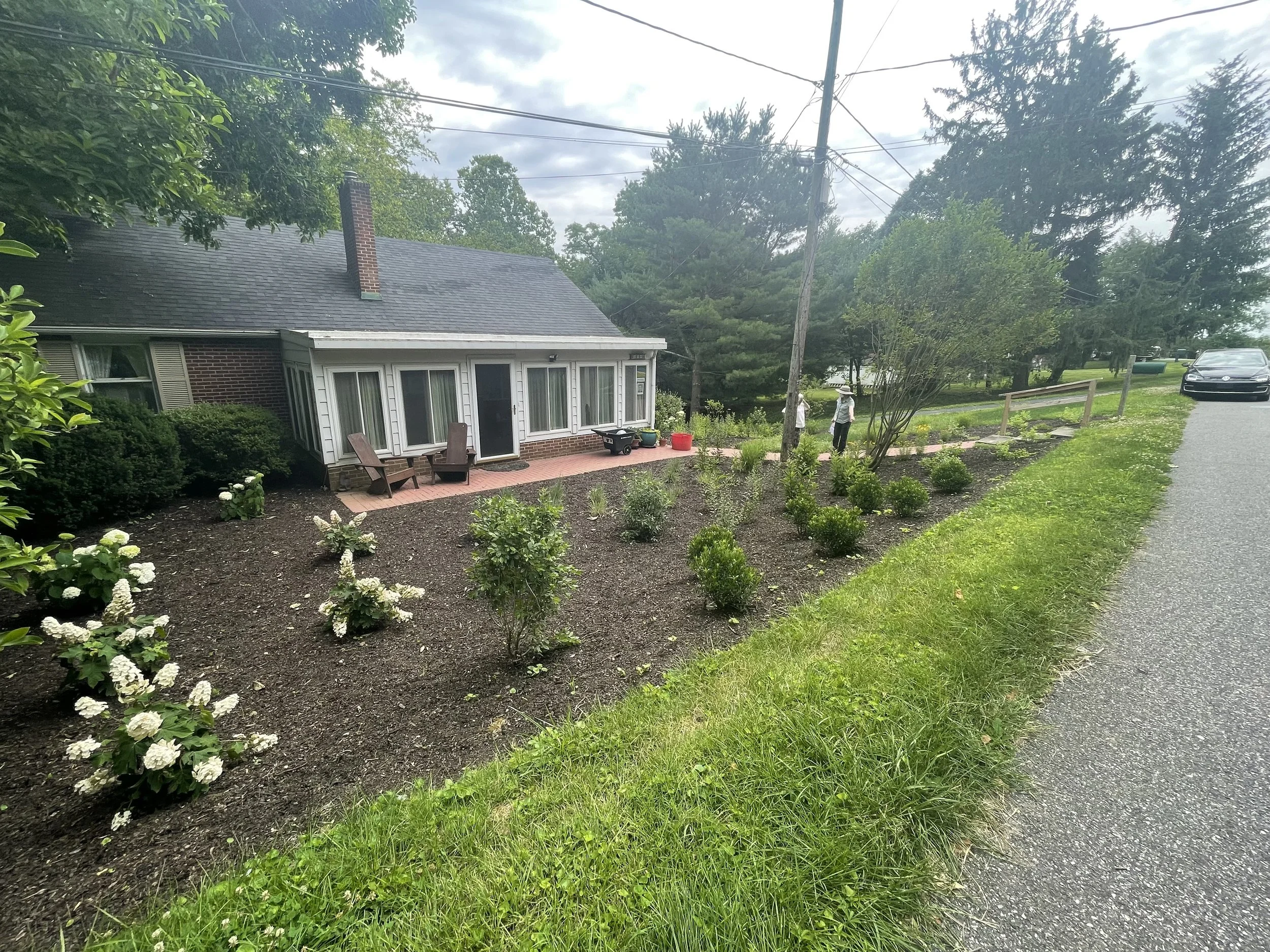 Lawn converted to native plantings.