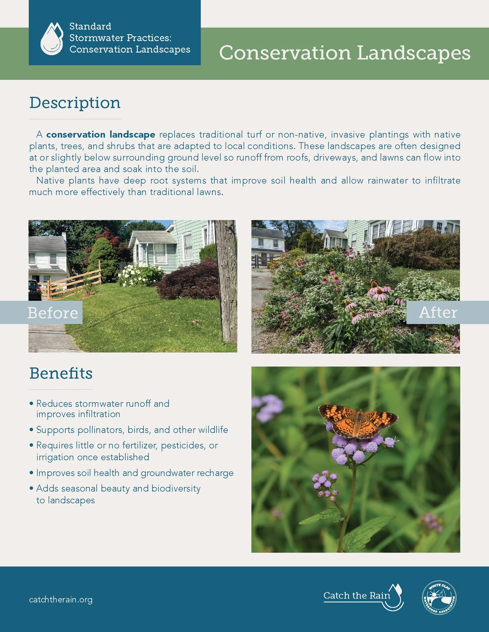 Conservation Landscapes