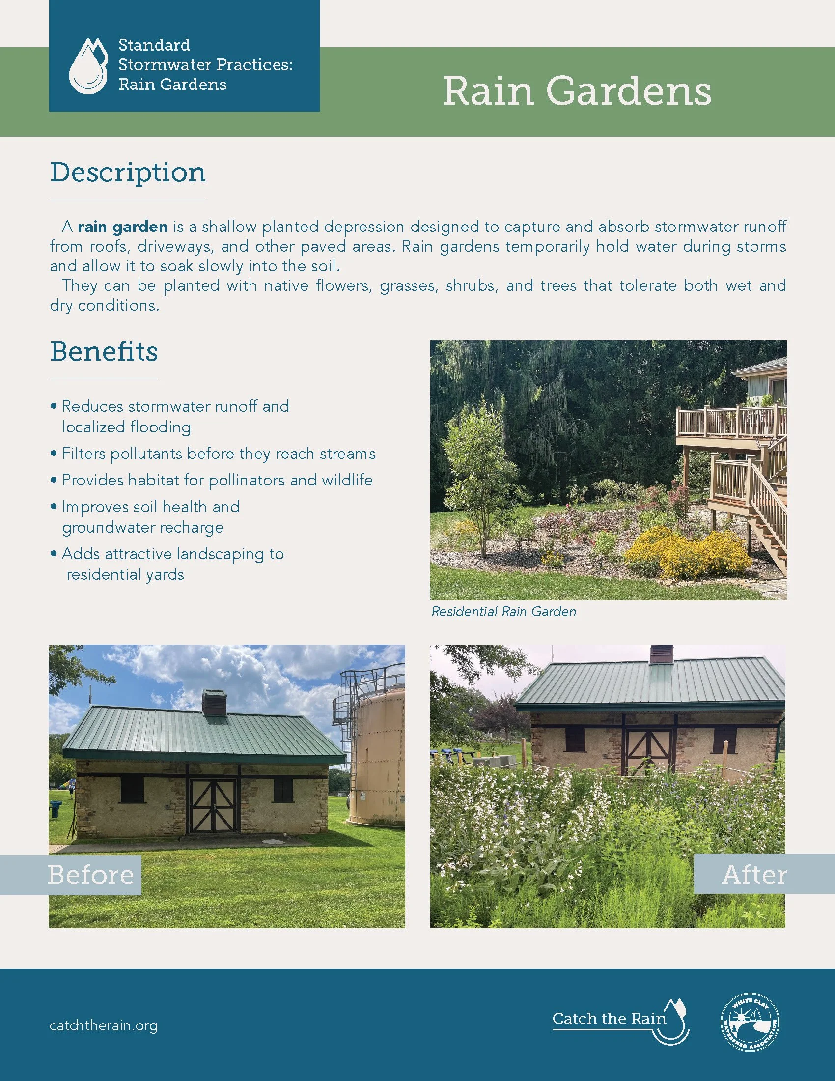 Rain Gardens