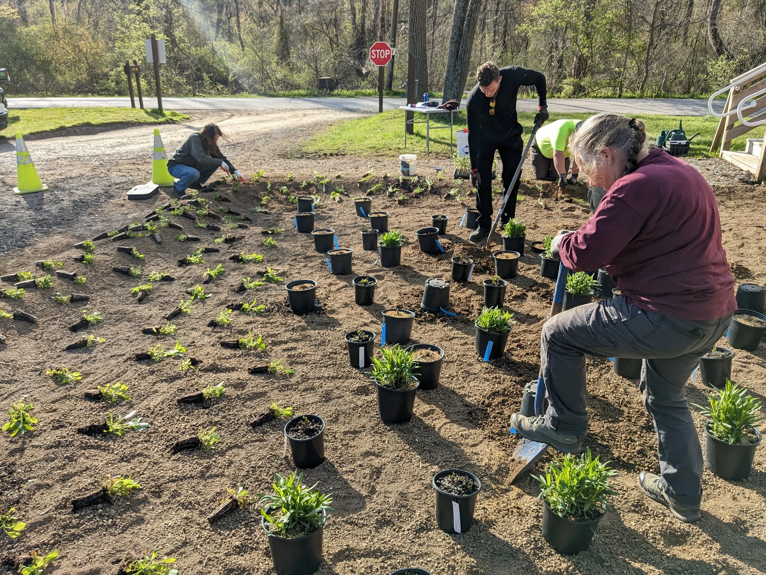 Planting Day