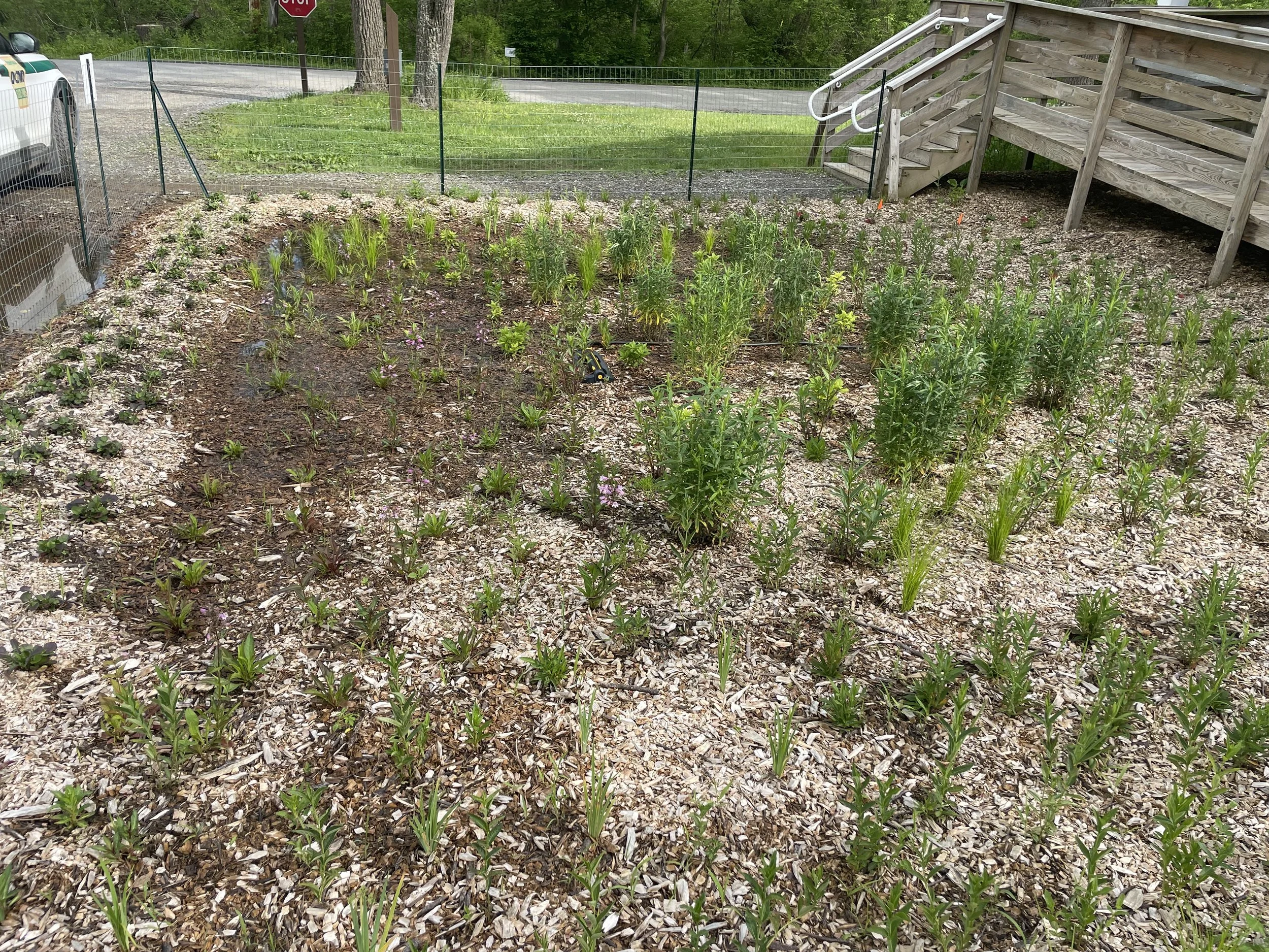 Garden Drained Within 48 Hours