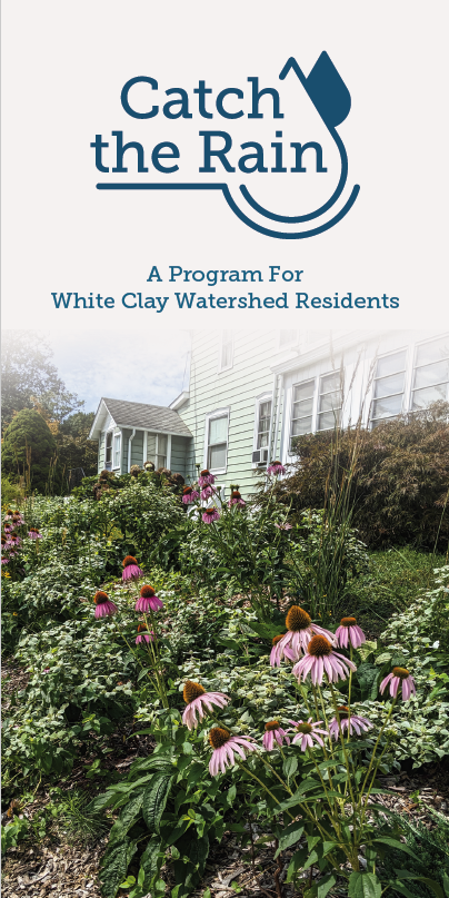 Program Brochure