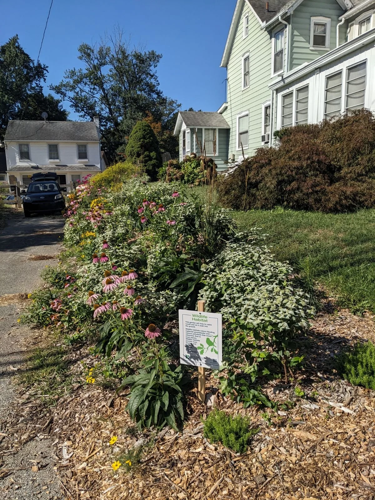 Lawn to Conservation Landscape Conversion (2022-23)