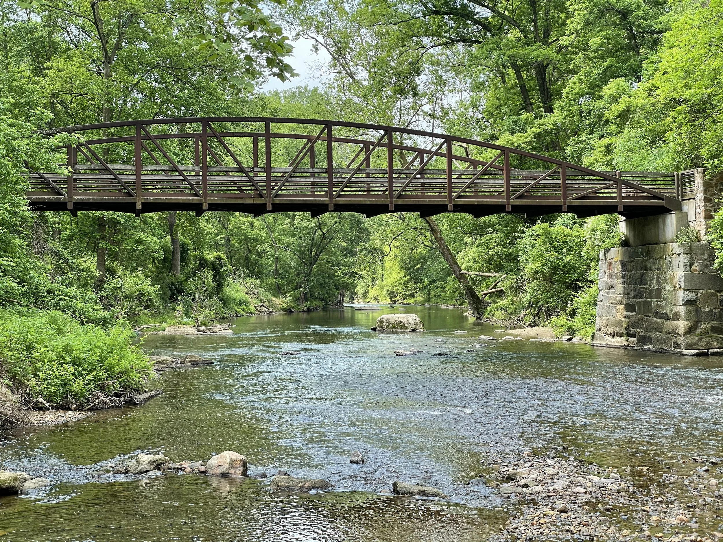 2021 summer bridge.jpeg