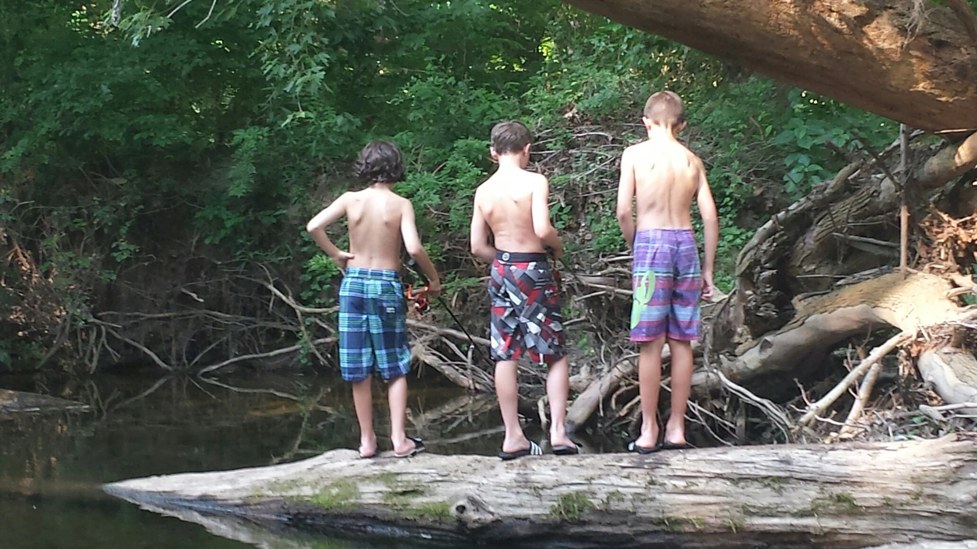 3 boys fishing White Clay Creek 2014 (c) I. Bellafiore.png