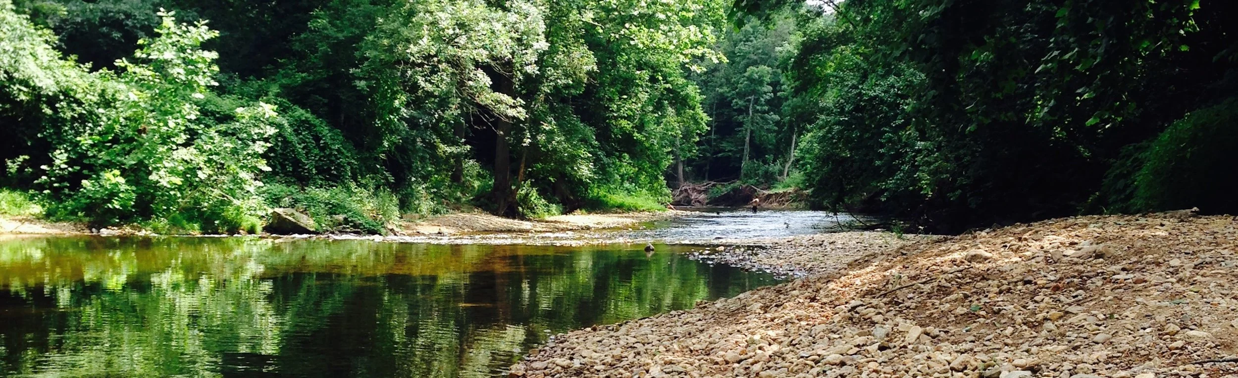 summer in white clay 2014.jpg