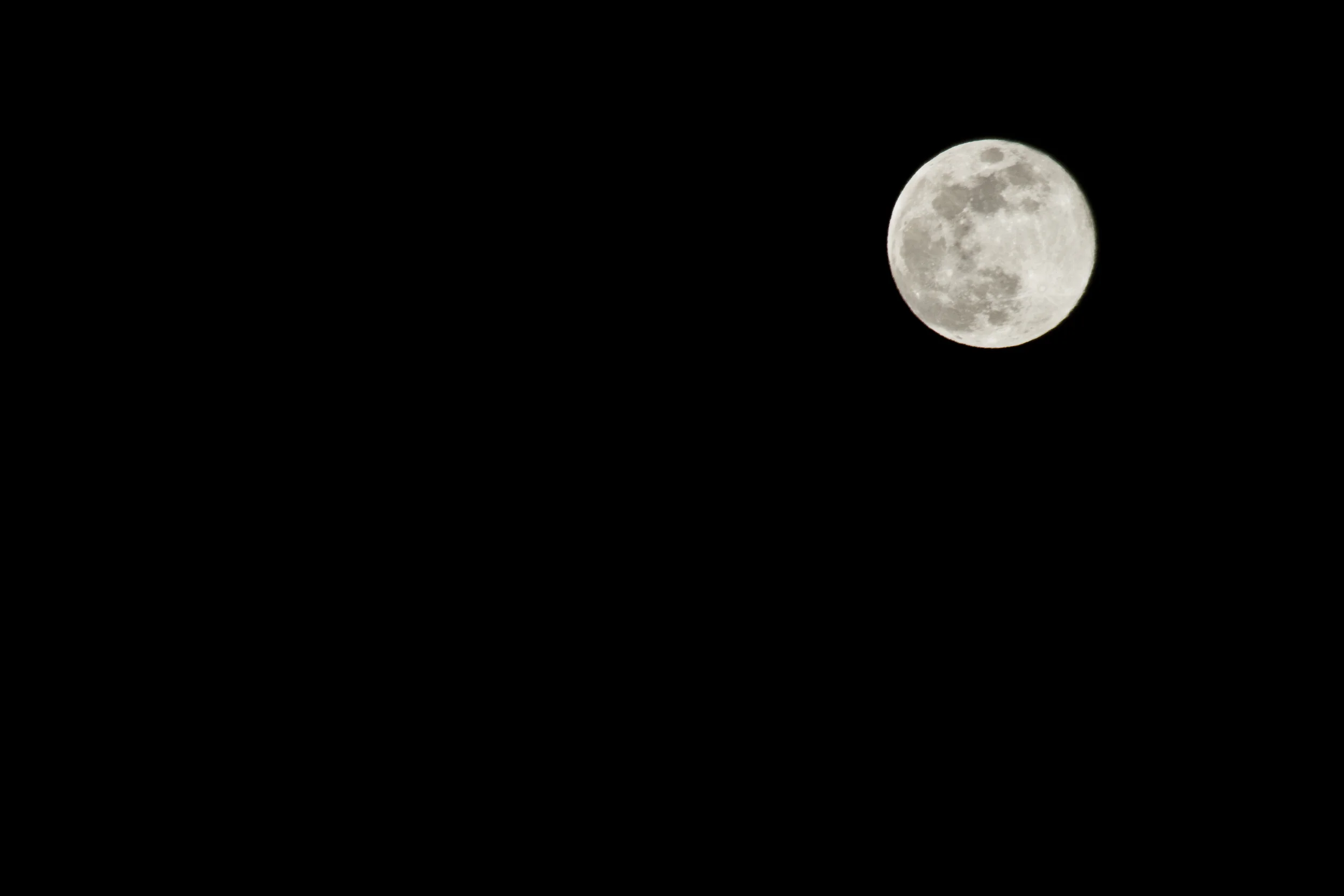 luna_MG_1833.jpg