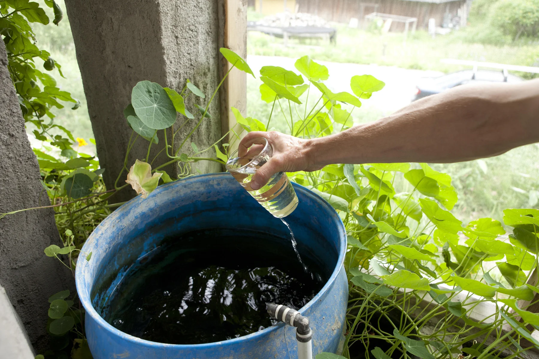 Liquid gold water rich fertilizer