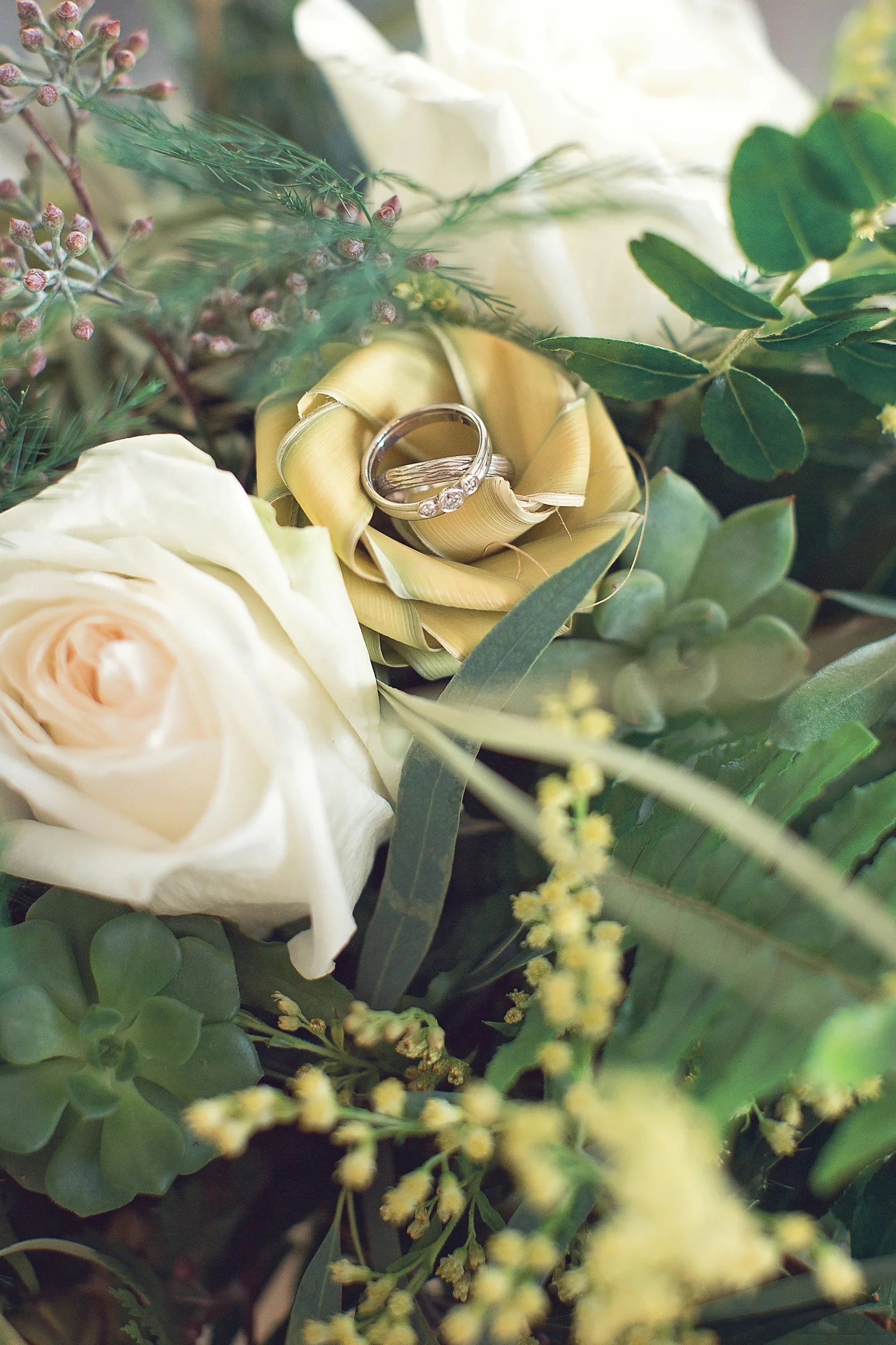 Downers Grove Photographer