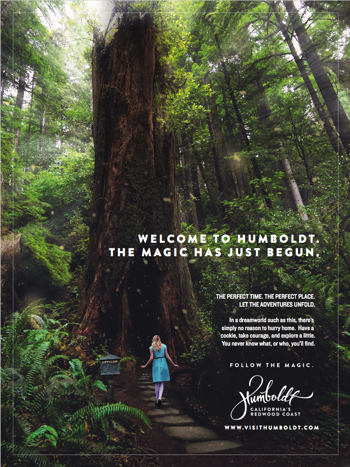 Screen Shot 2017-09-08 at 12.34.41 PM.png