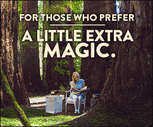 17-HLA-0105-Summer-Banner-Ads-300x250.gif