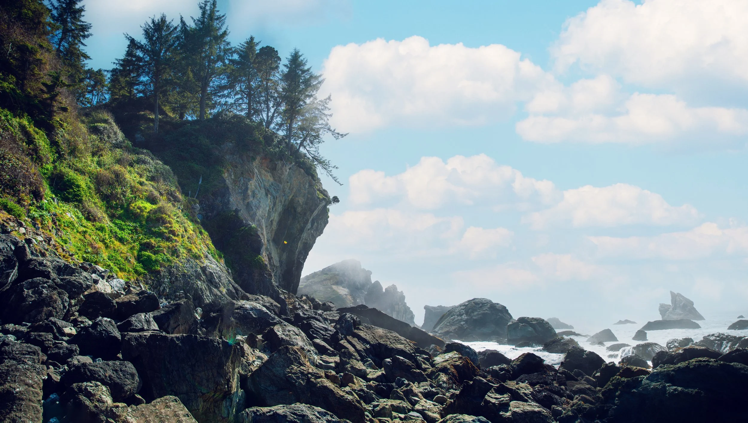 5Q7A8811 horizontal.jpeg