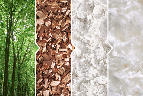 A shortened image guide of Tencel production, which begins with trees, lead to wood pulp, then chemical processing, and finally the base fabric for clothing.