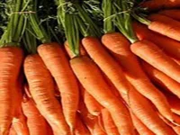 Carrots
