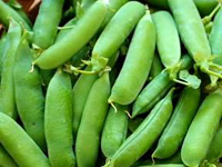 Peas