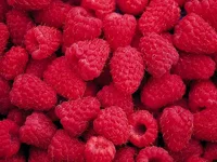 Raspberries