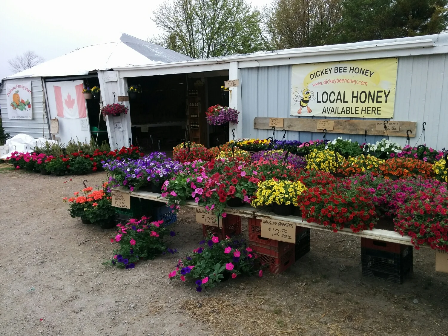 Don't forget to buy your Mother's Day flowers!